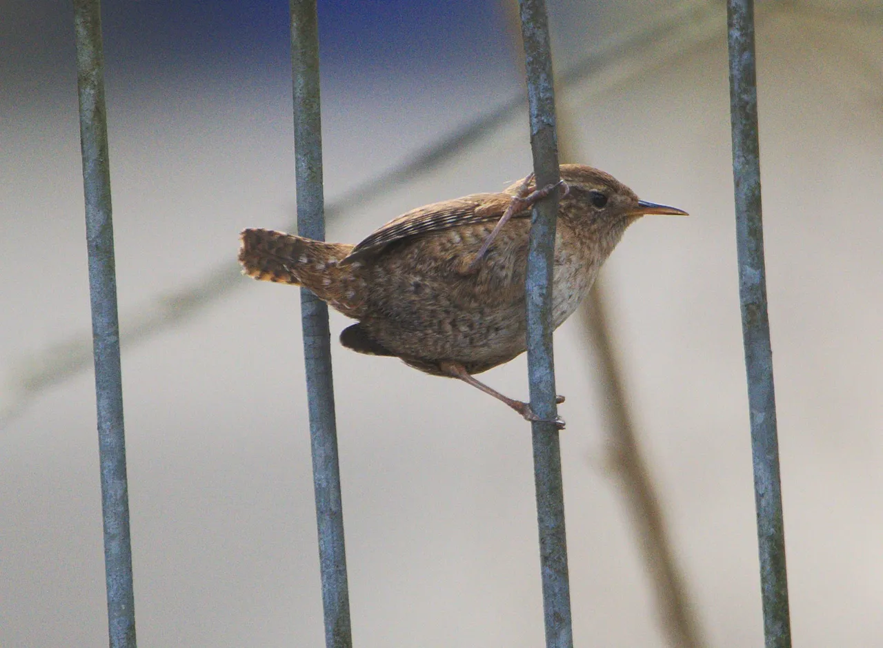 DSC_6861.jpg