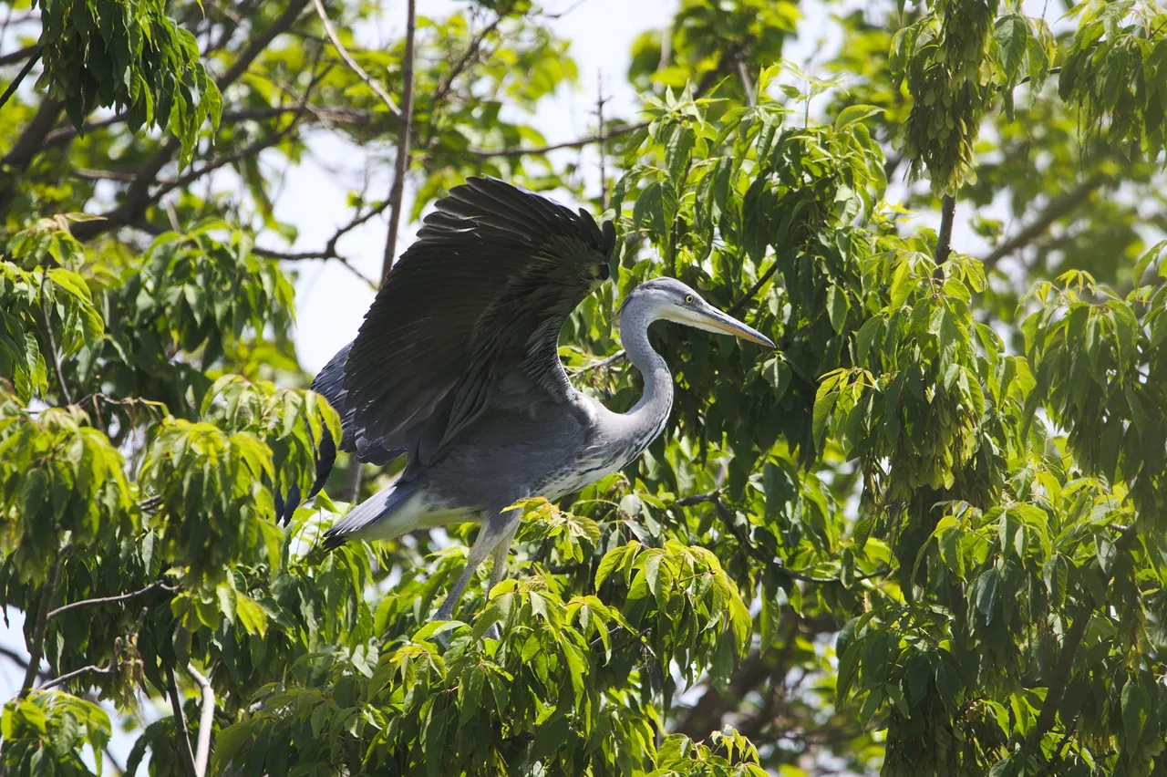 DSC_8711.jpg