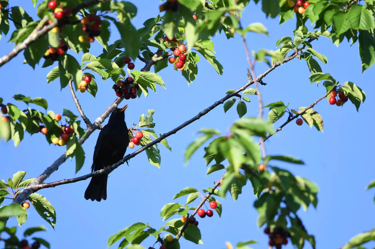 DSC_3480.jpg