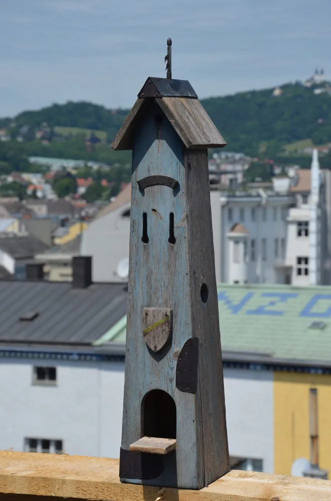 DSC_0118.jpg