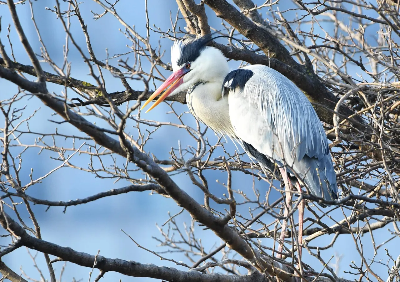 DSC_3197.jpg