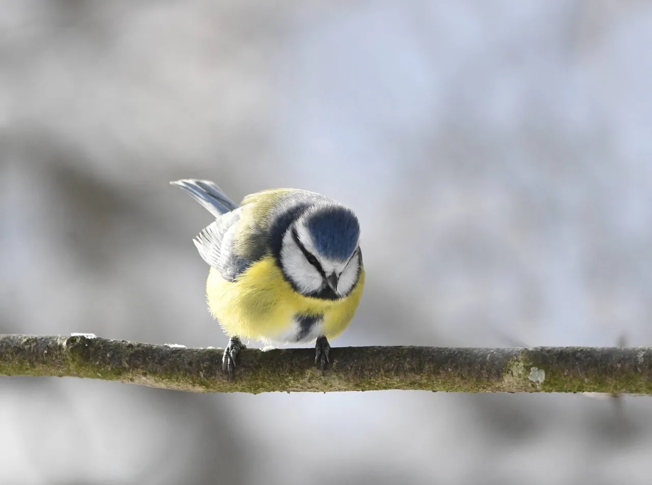 DSC_9711.jpg