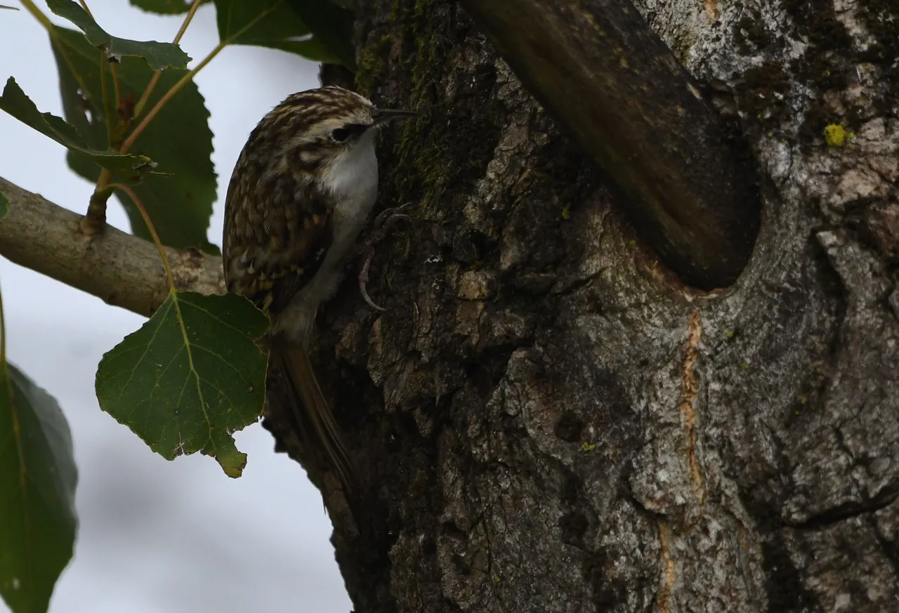DSC_0624.jpg