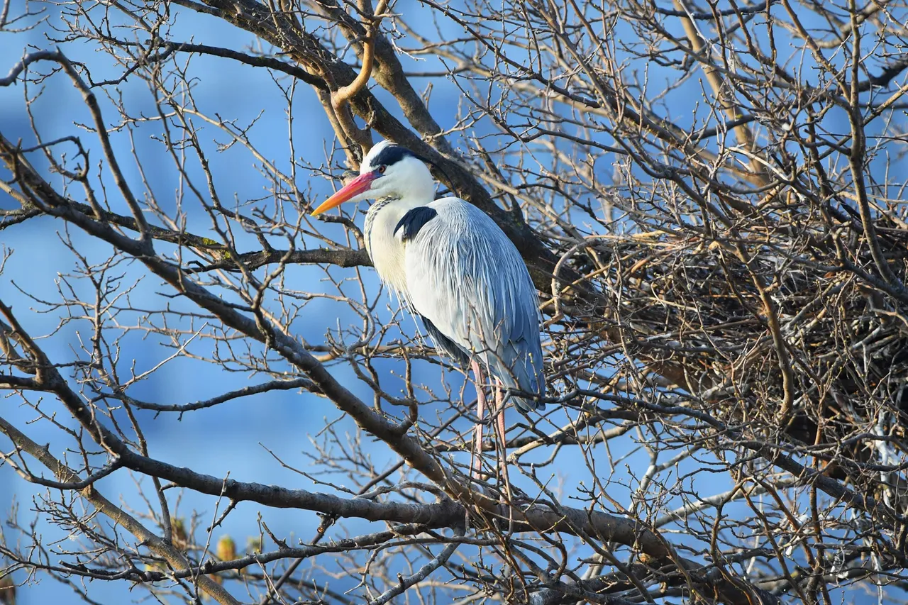 DSC_3209.jpg