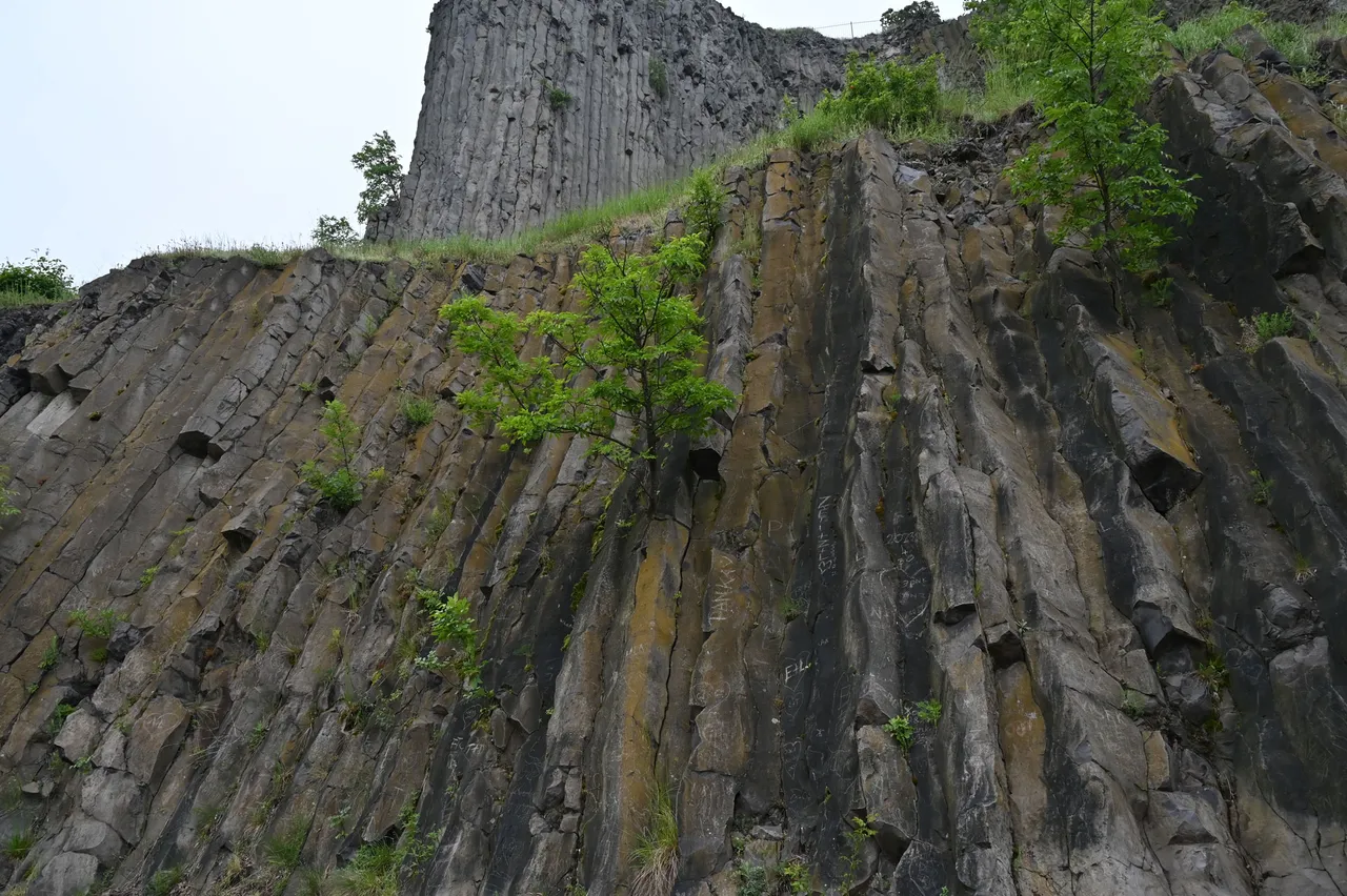 Z62_5380.JPG