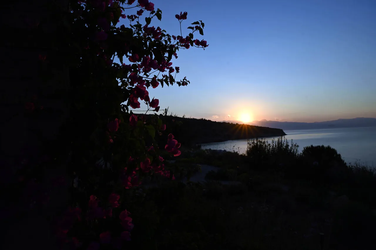 Z62_4035.jpg