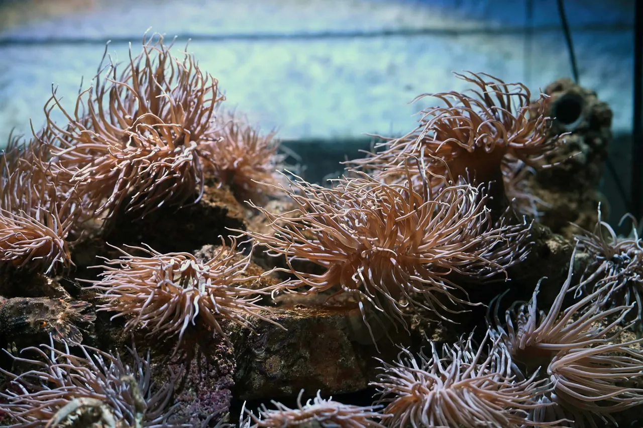 Z62_1738.jpg
