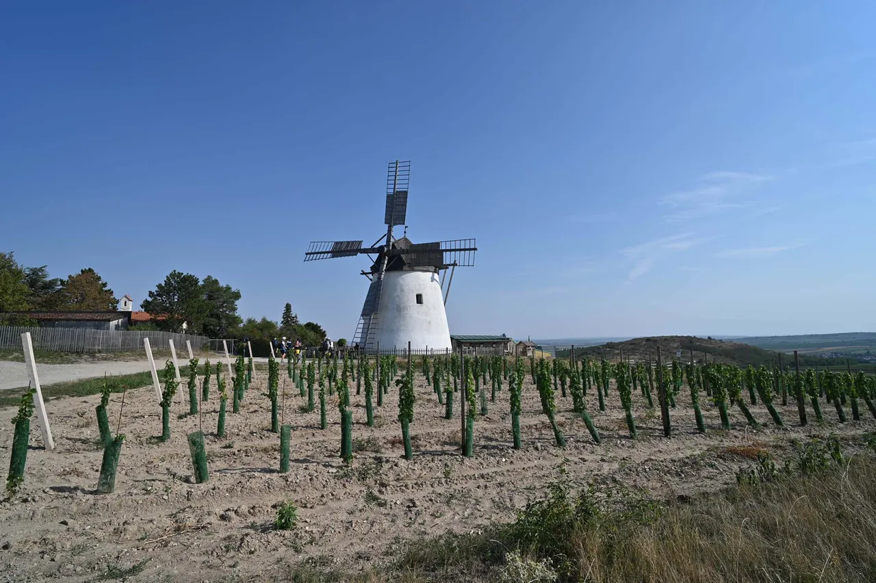 Z62_0526.jpg