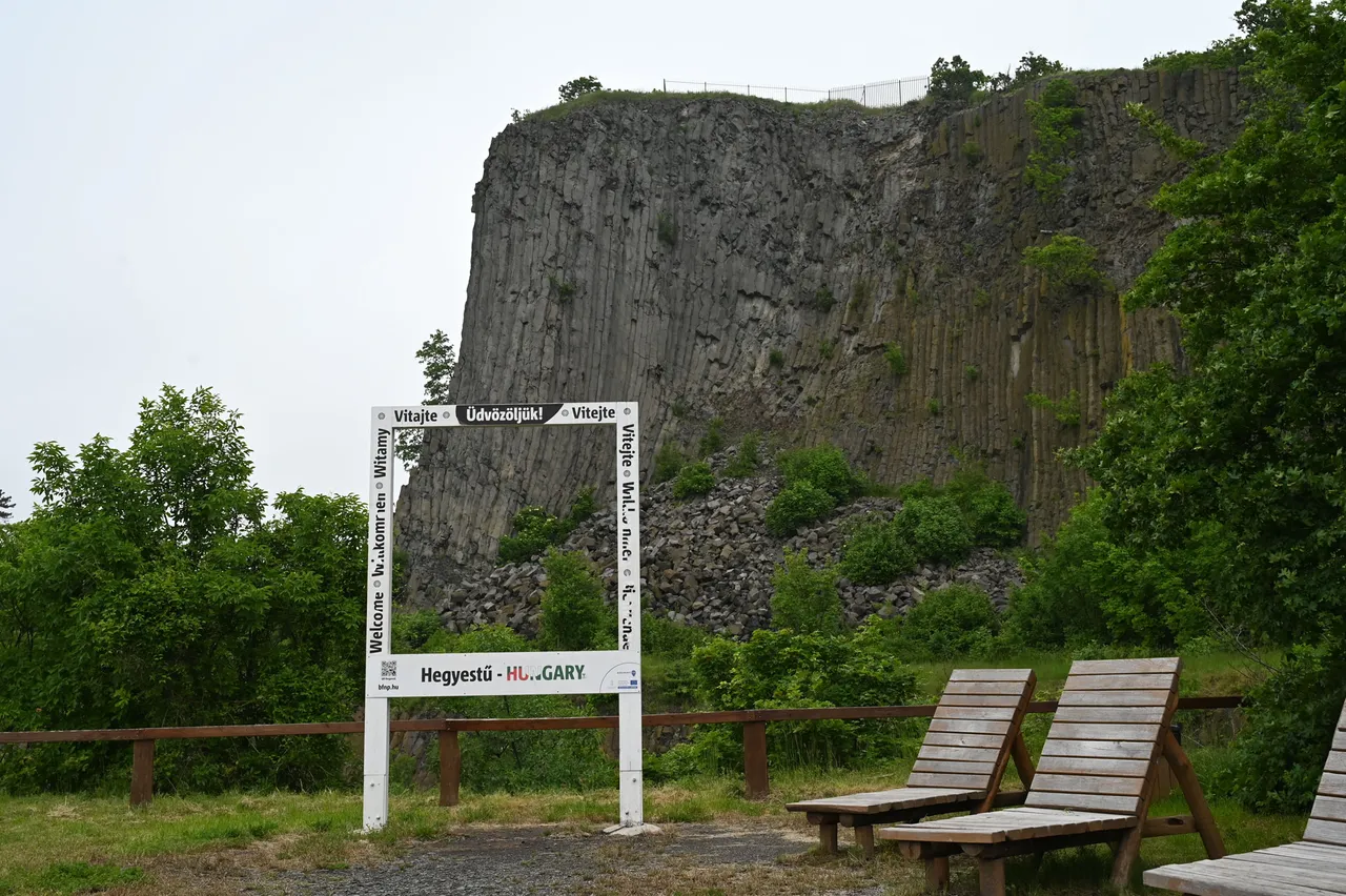 Z62_5486.JPG