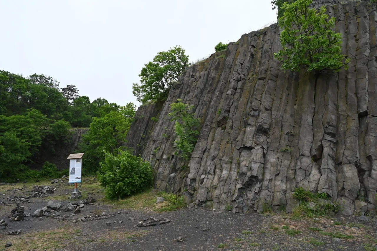Z62_5450.JPG