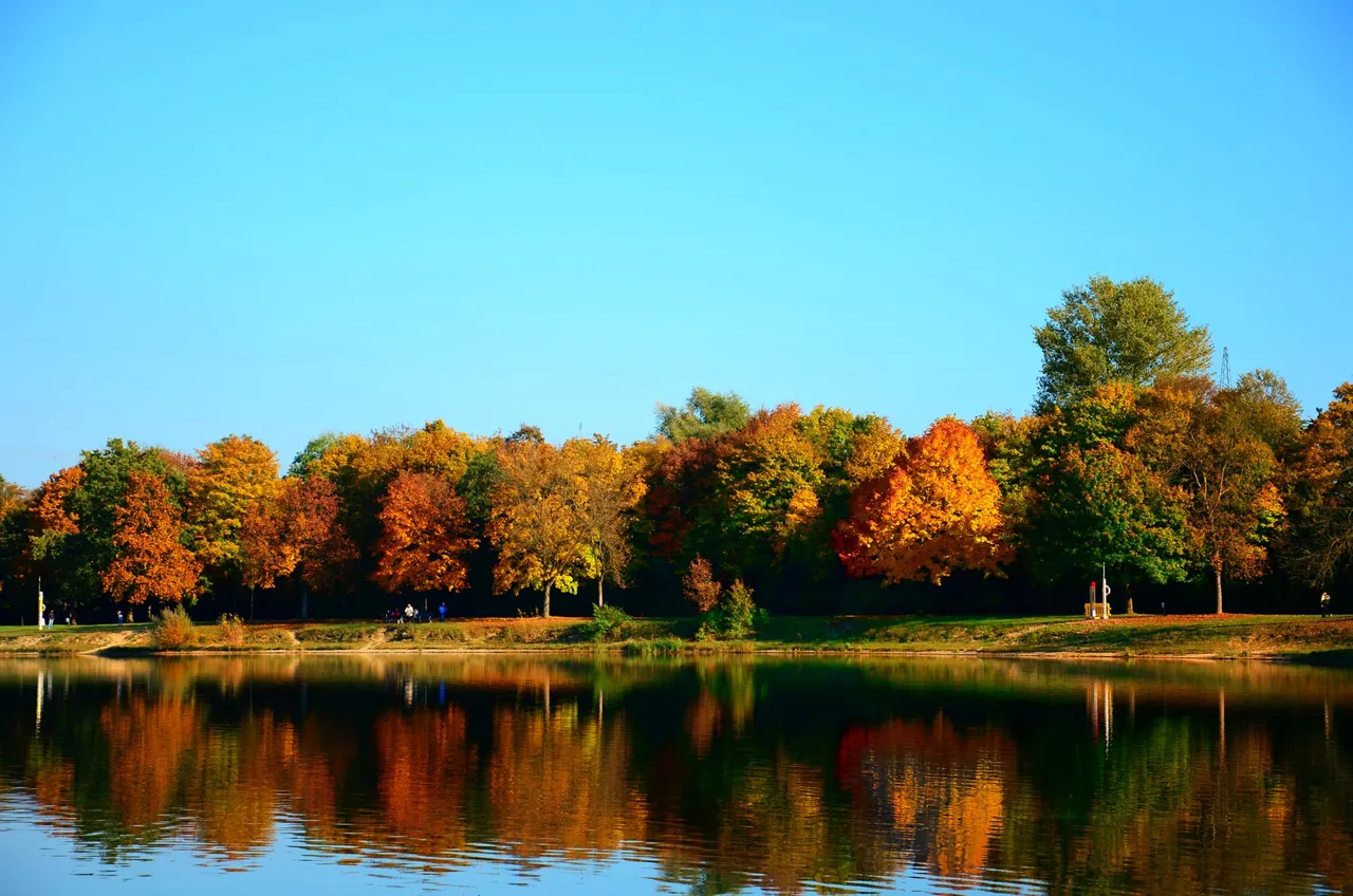 DSC_0052.JPG