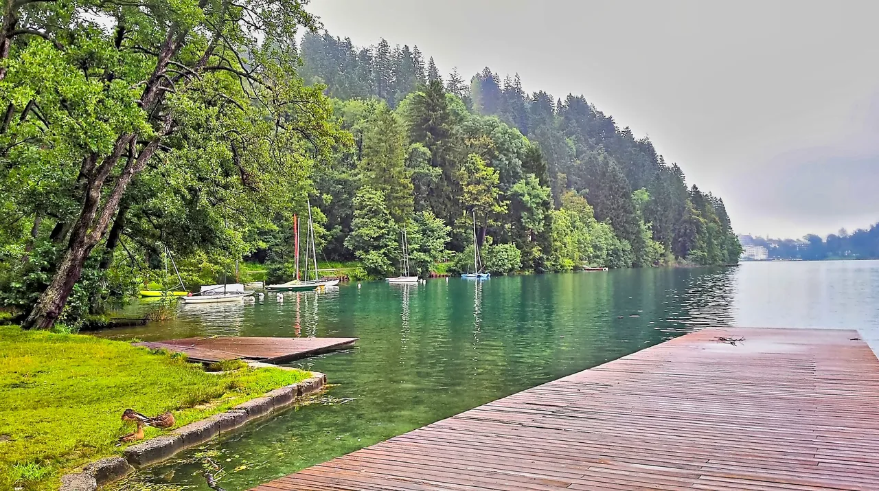 26 - Lake Bled.jpg