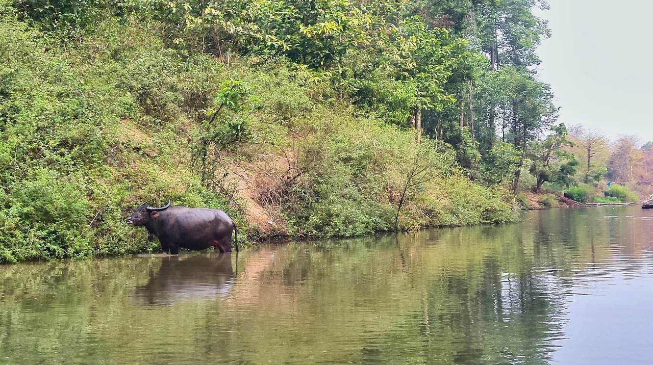 18 - Vieng Kham.jpg