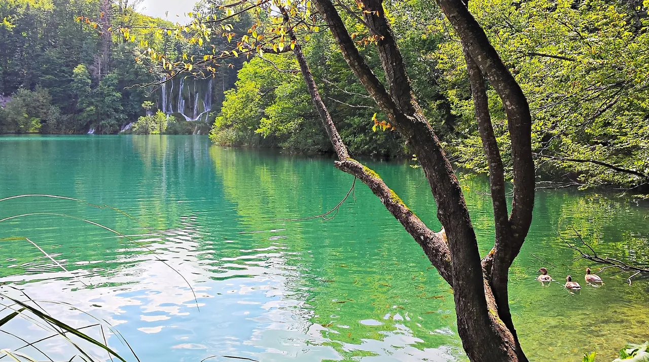 99 - Plitvice Lakes.jpg