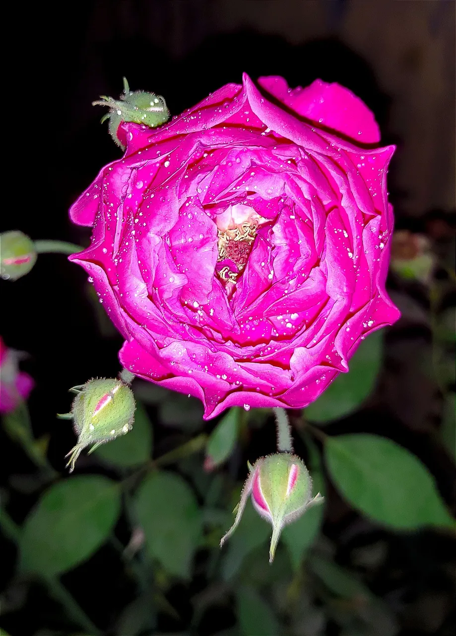 IMG_20230422_215920.jpg