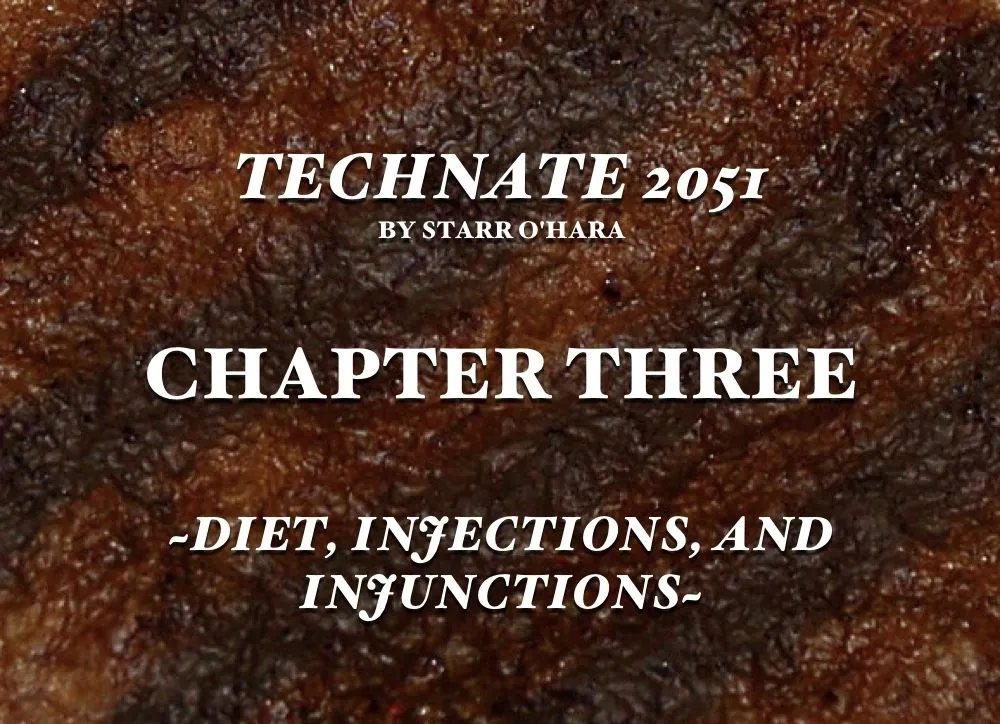 Technate2051-Ch3Cover.jpg