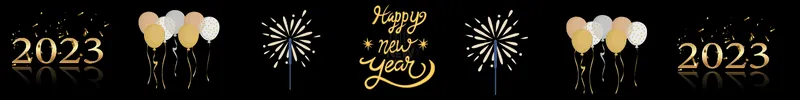 New Years Text Divider.png