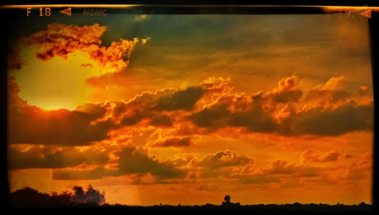 PicsArt_11-20-11.30.24-01.jpeg