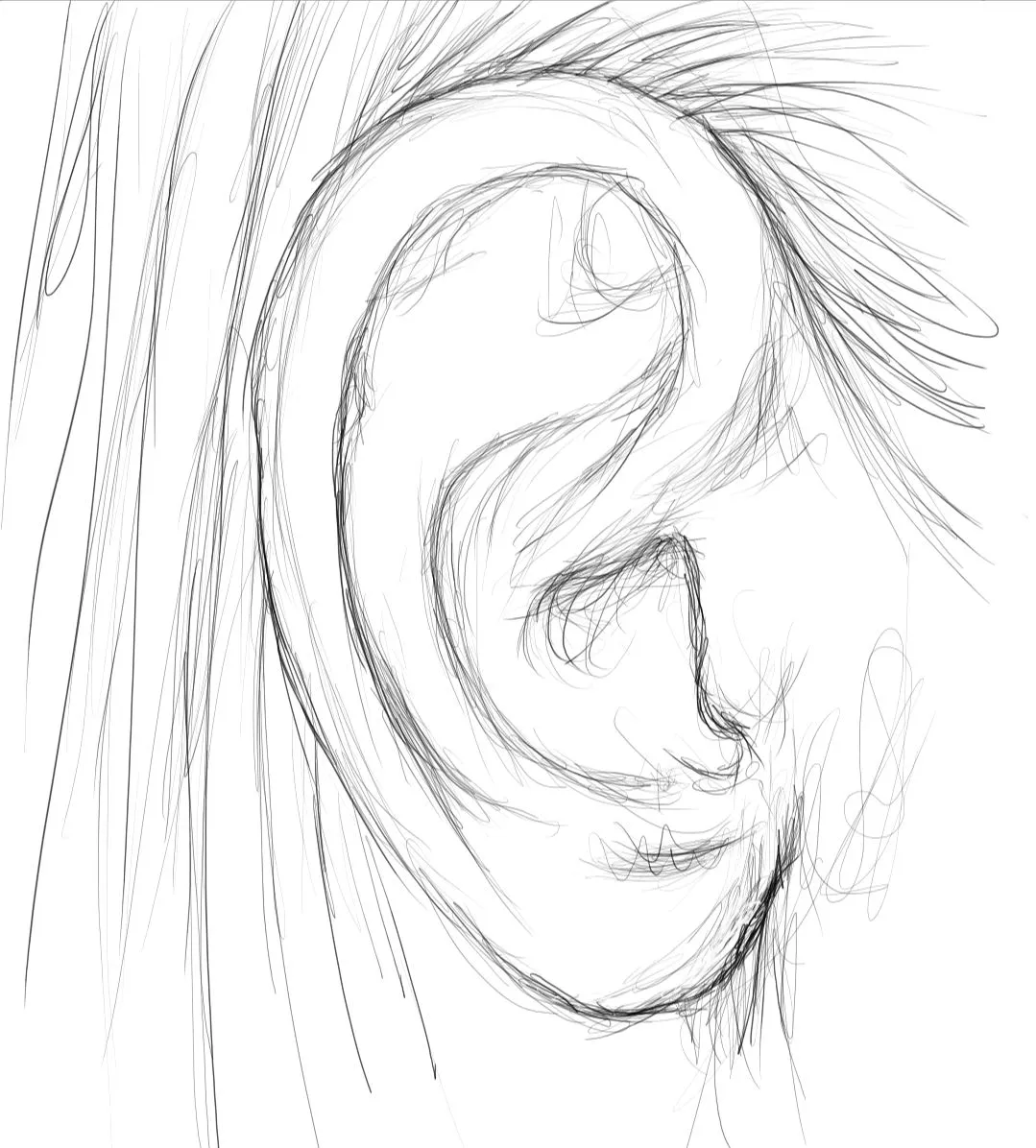 Screenshot_20240128-155528_Autodesk SketchBook.jpg