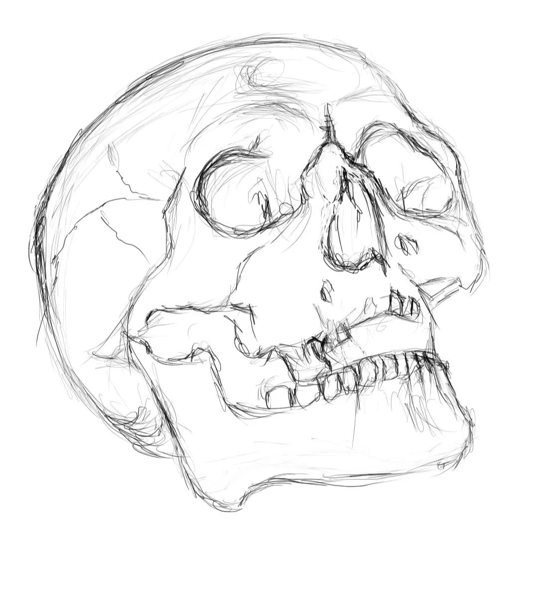 Screenshot_20221124-144230_Autodesk SketchBook.jpg