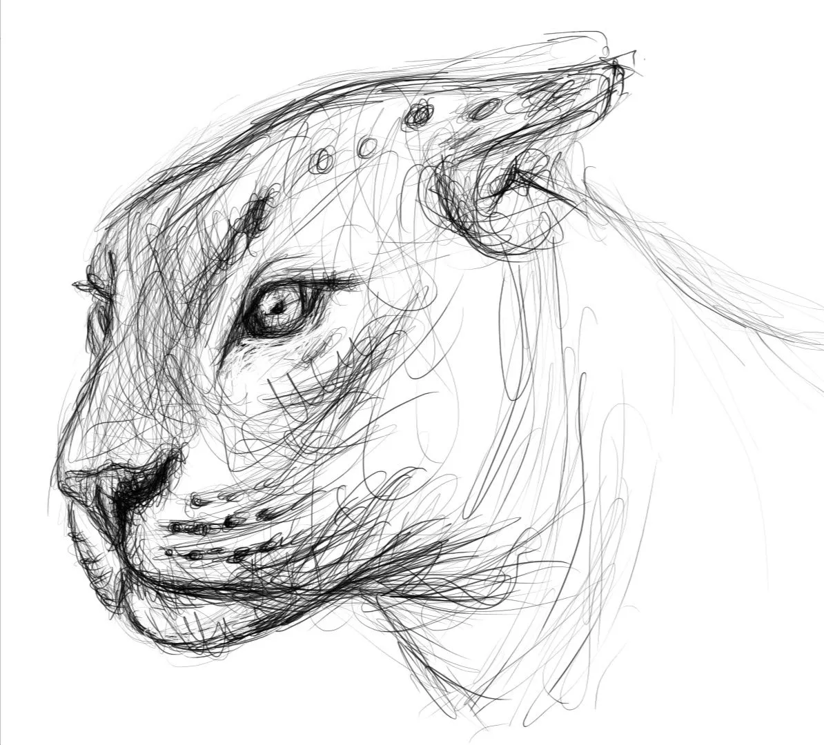 Screenshot_20230225-154529_Autodesk SketchBook.jpg