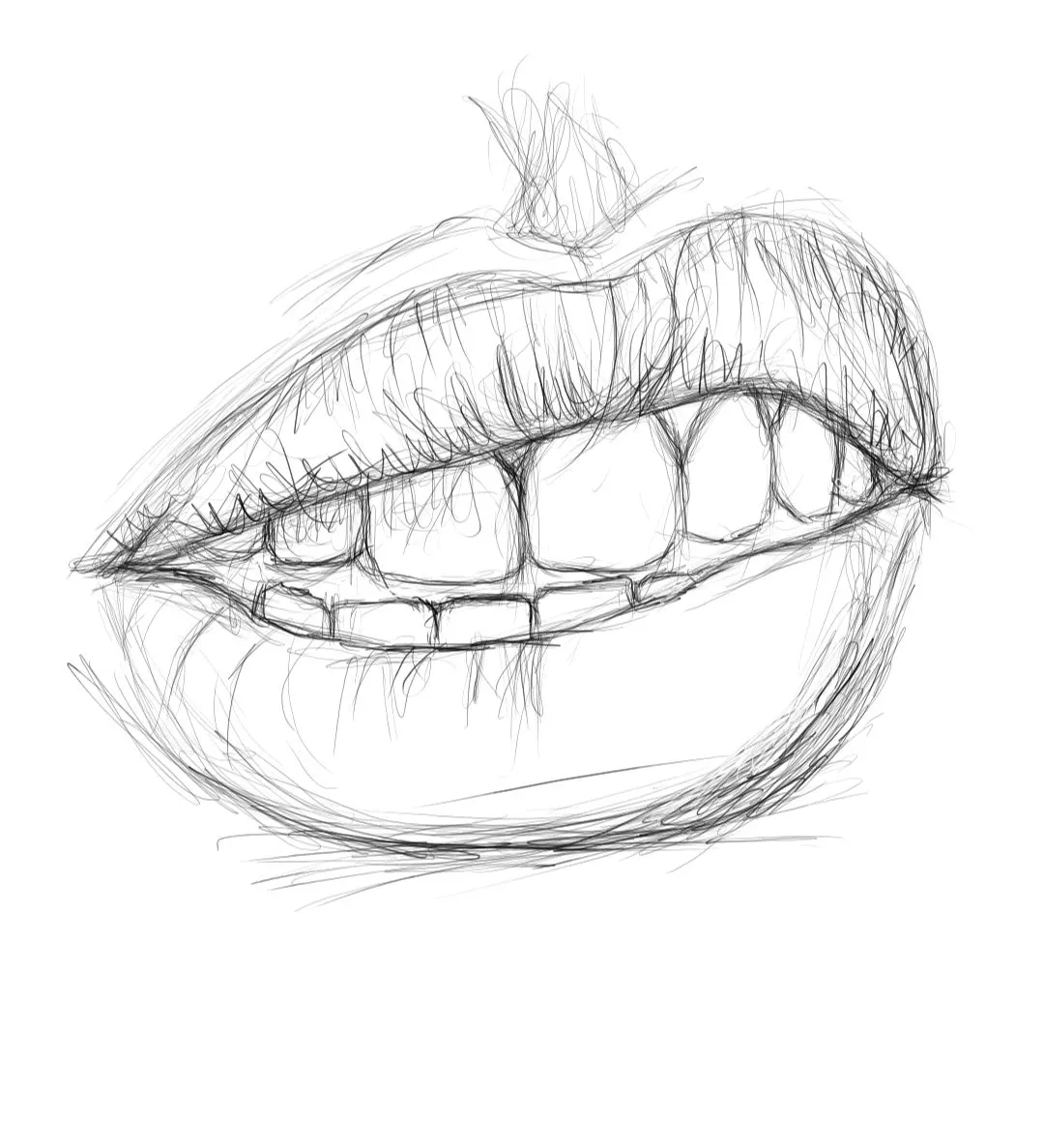 Screenshot_20240216-131723_Autodesk SketchBook.jpg