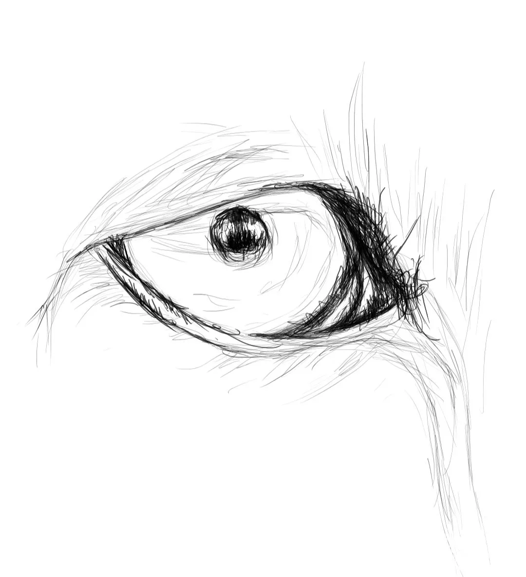 Screenshot_20230708-132122_Autodesk SketchBook.jpg