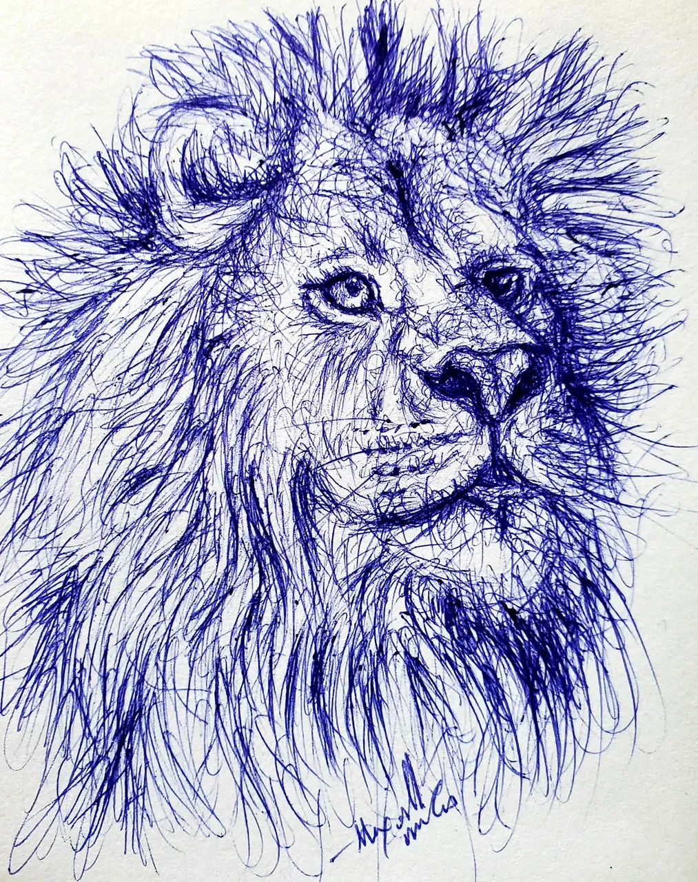 20230723_164908.jpg