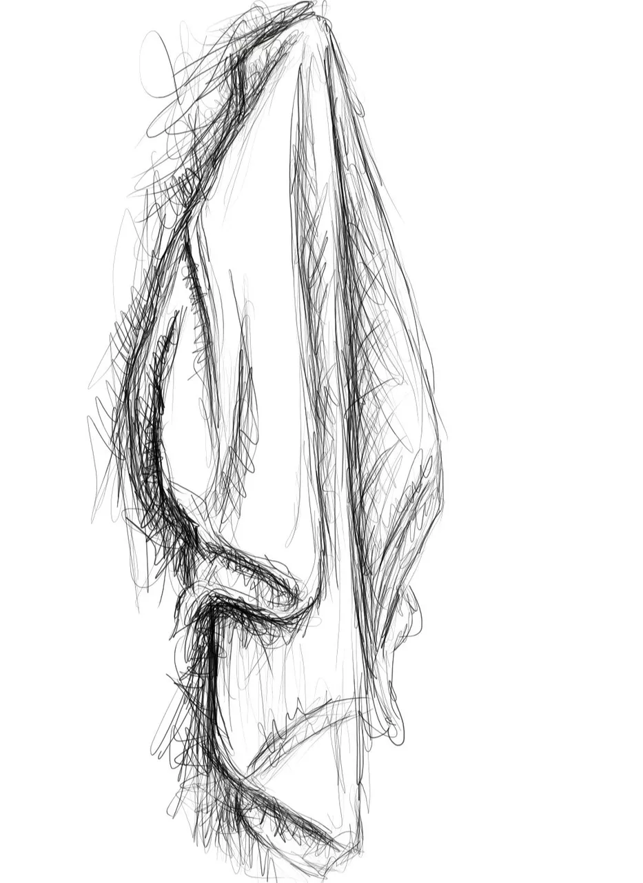 Screenshot_20230211-154931_Autodesk SketchBook.jpg