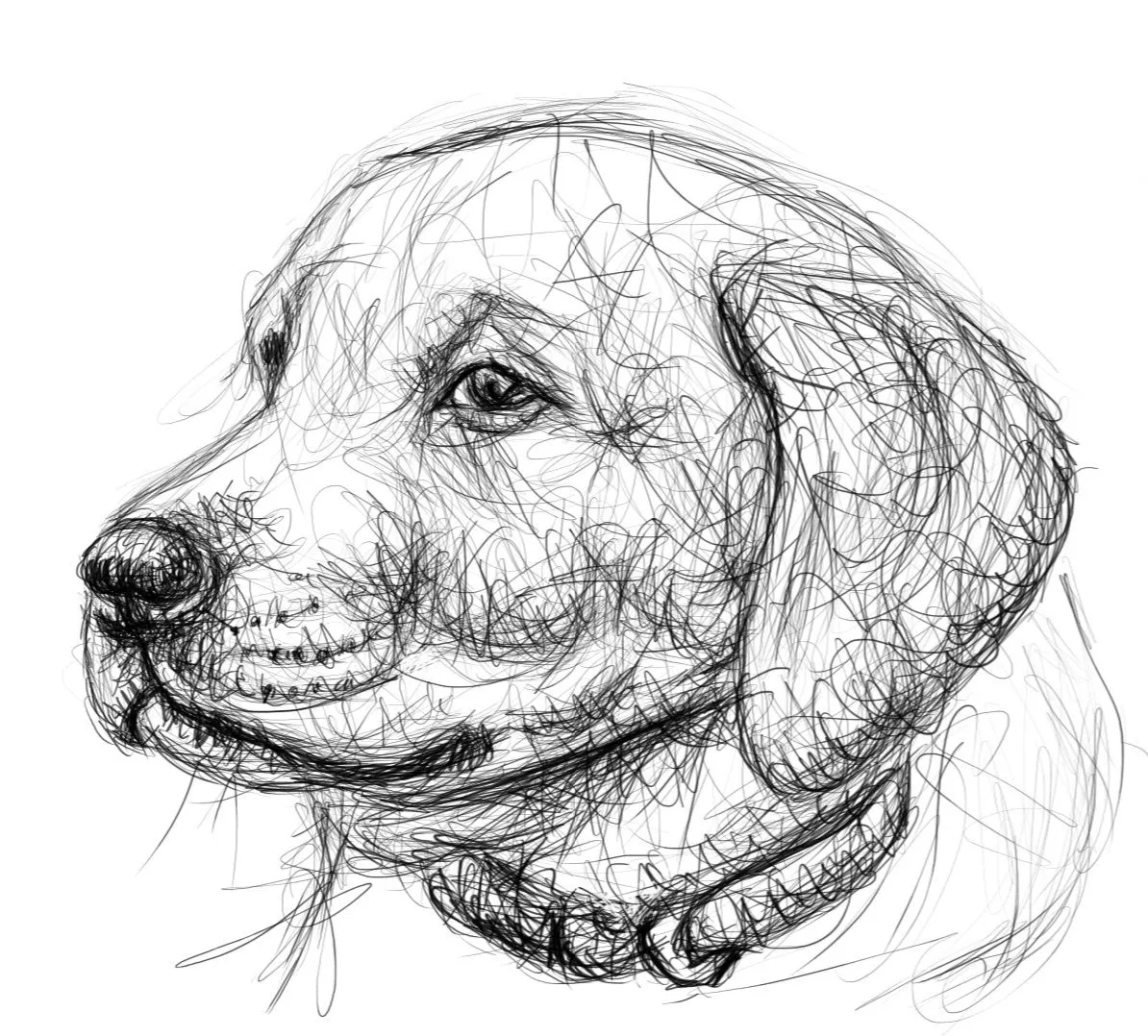Screenshot_20240312-155341_Autodesk SketchBook.jpg
