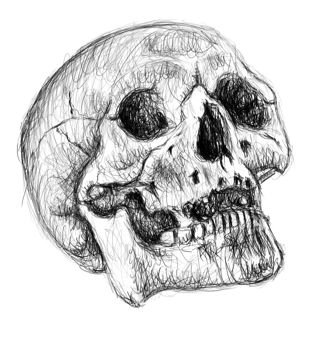 Screenshot_20221124-150446_Autodesk SketchBook.jpg
