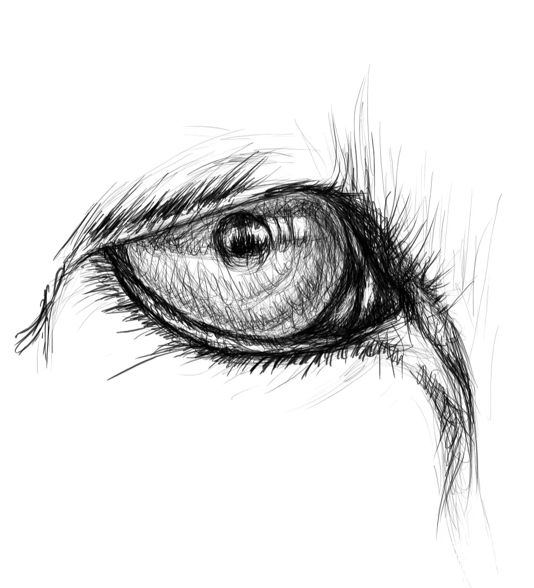 Screenshot_20230708-133558_Autodesk SketchBook.jpg