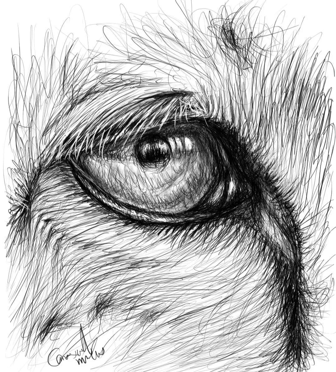 Screenshot_20230709-153151_Autodesk SketchBook.jpg