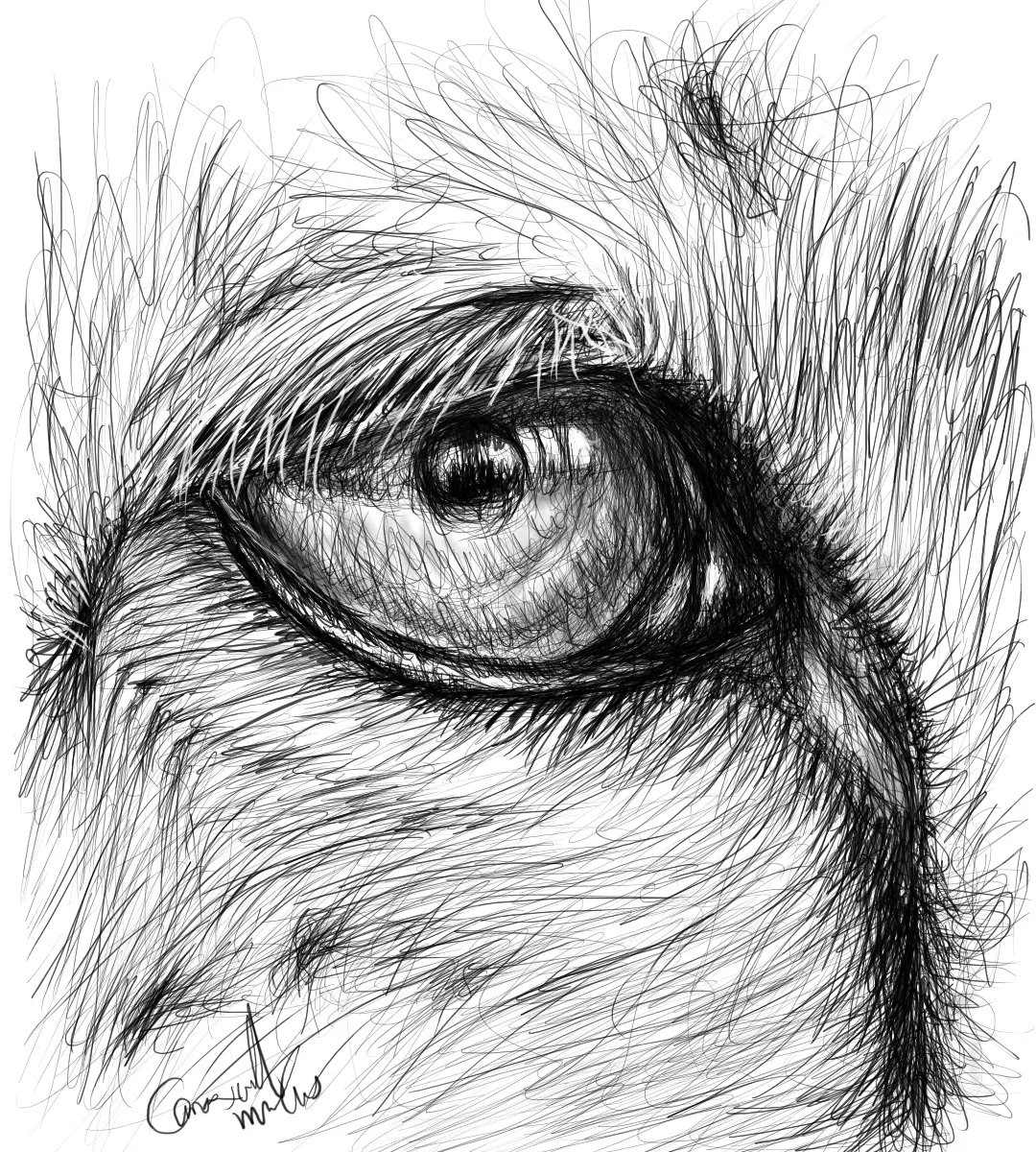 afdde84c-baa4-4e29-b37c-24bd9952b436.png