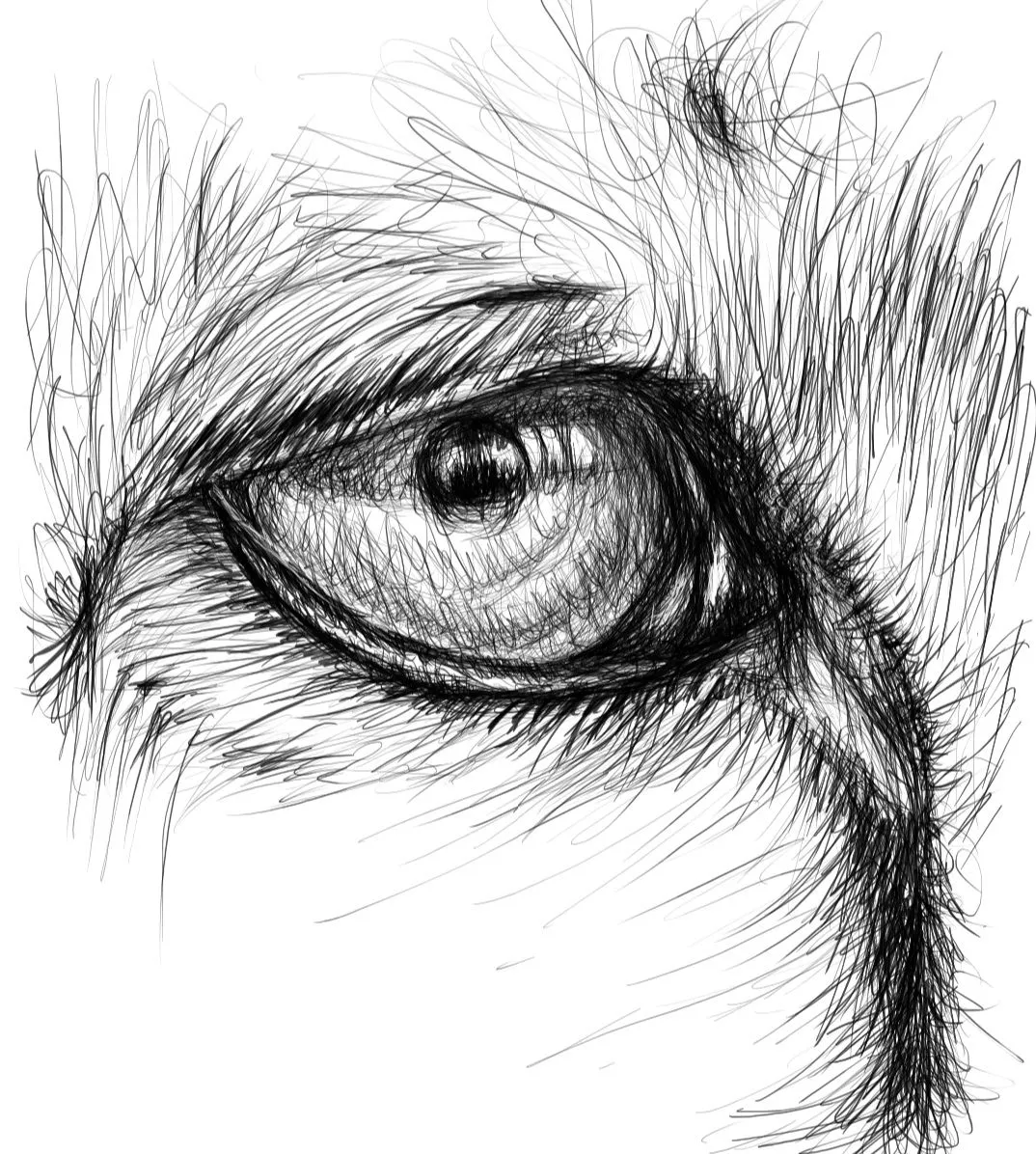 Screenshot_20230708-135451_Autodesk SketchBook.jpg