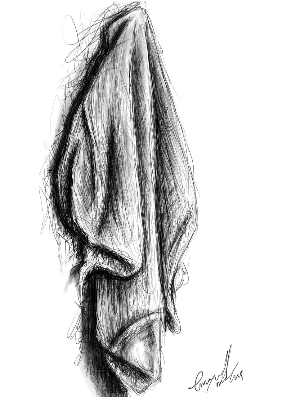 Screenshot_20230211-160749_Autodesk SketchBook.jpg