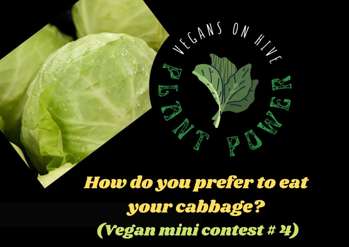 4 CABBAGE.png