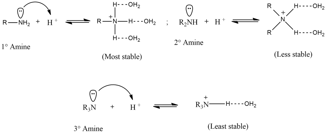 Amine solvation.png