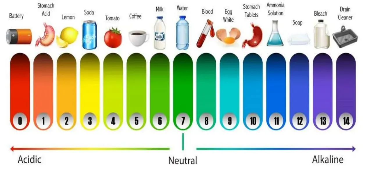 ph scale.png