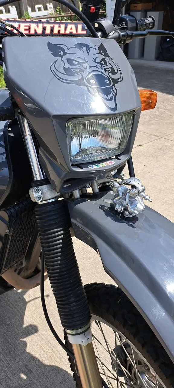 Wiley Coyote riding a rocket hood ornament.