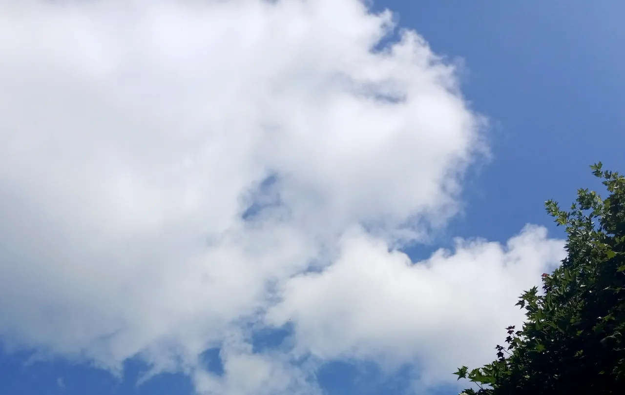 WLE0215-SummerSky.jpg