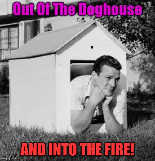 doghouse.jpg