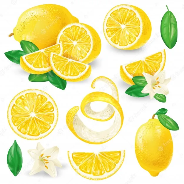 different_lemons_with_leaves_flowers_vector_1441_736.jpg