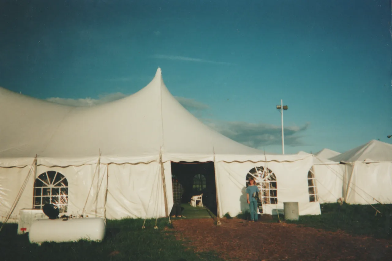 2000 of Crystal at the revival thing 04.png