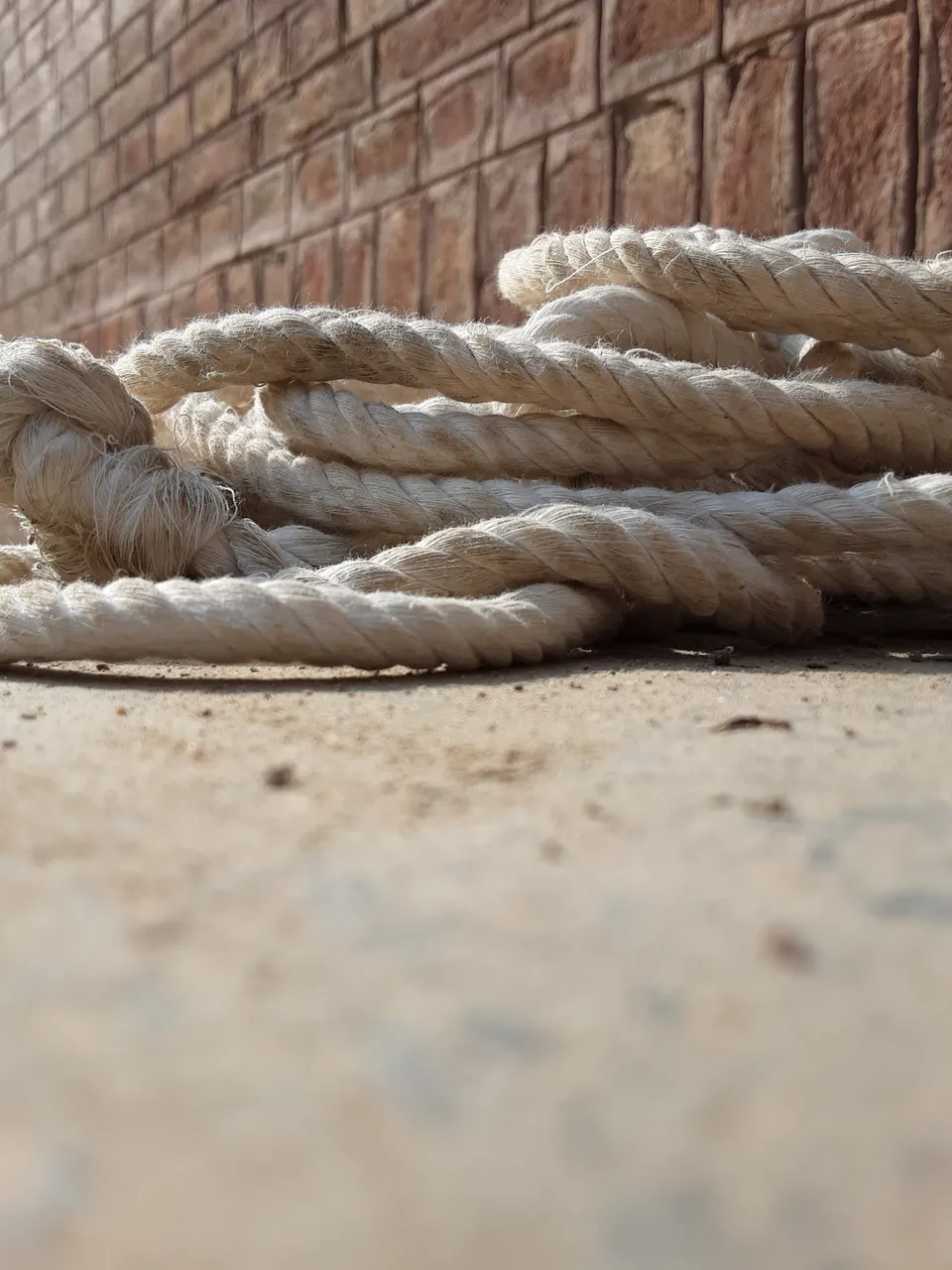 white-strong-rope-on-the-ground-image-20250120_111614.jpg