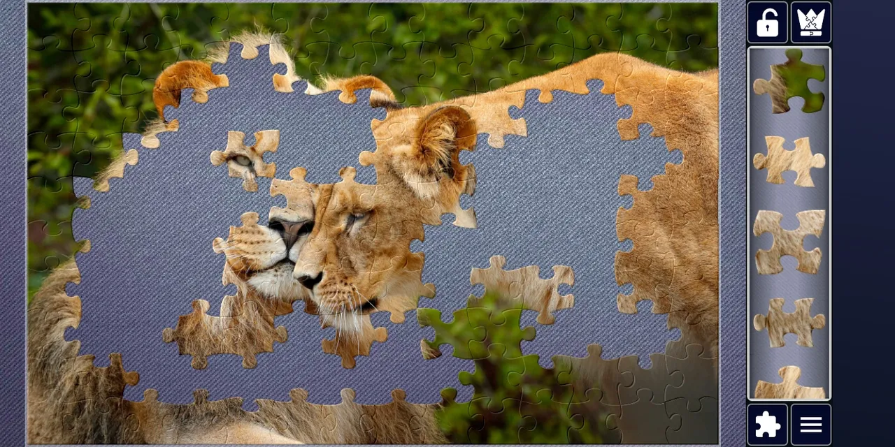 Screenshot_20200718_011130_tek.games.net.jigsawpuzzle.jpg