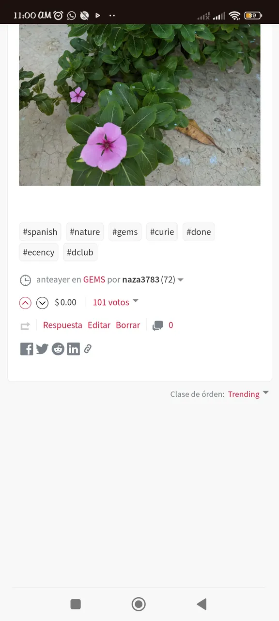 Screenshot_2024-11-30-11-00-22-943_com.android.chrome.jpg
