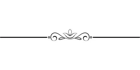 c8ef71136a4bfd9c5d436a0e4d795037--transparent-elegant.jpg