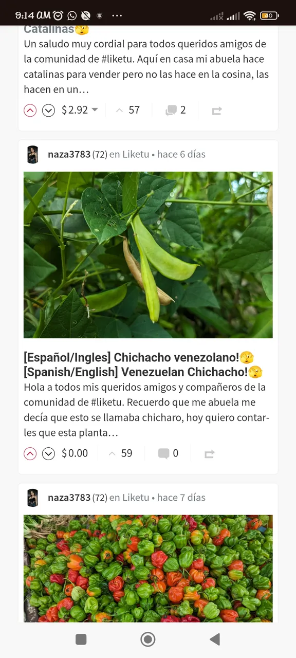 Screenshot_2024-11-25-09-14-05-048_com.android.chrome.jpg