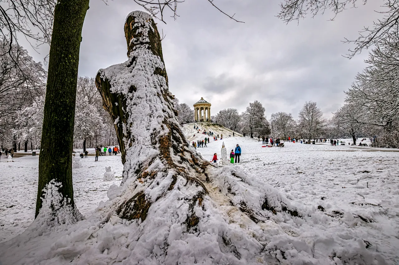 180218 Winter Englischer Garten Baumstamm--3.jpg